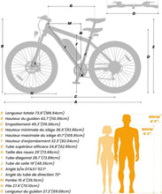 Load image into Gallery viewer, Touroll U1 Vélo Électrique, 26"/29" Vélo Électrique en Montagne pour Adulte, VTT électrique 250 W, Batterie Amovible 13AH, Autonomie 65 km, E-Bike 21 Vitesses